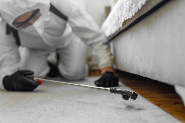 Professional Termite Control technician working in Bluewell, WV