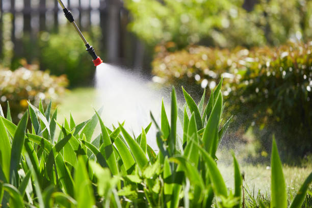 24/7 Emergency Termite Control experts in Bluewell, WV