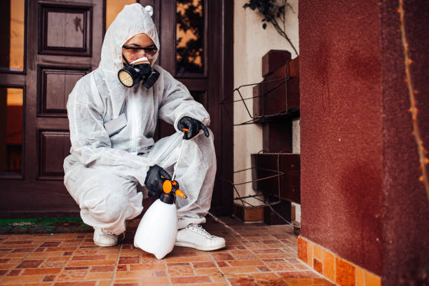 Reliable Termite Control contractor in Bluewell, WV by Nex Pest Control