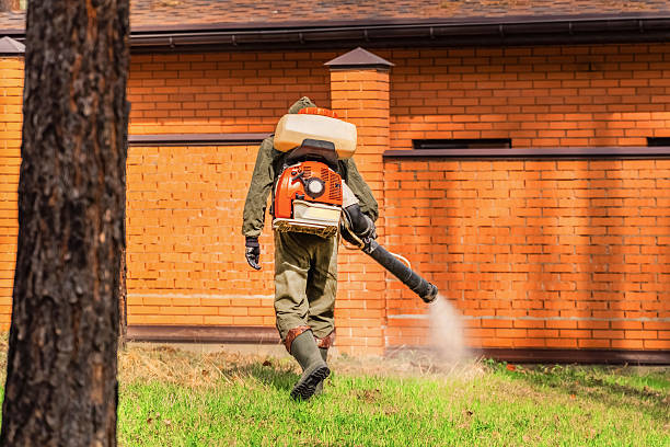 Top rated local Termite Control specialists in Bluewell, WV